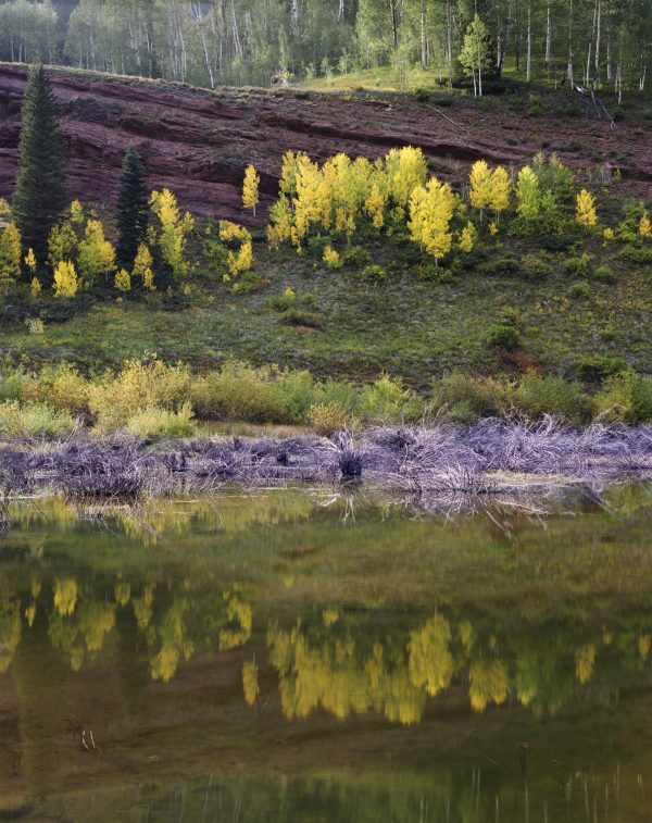 fall color in southwest Colorado